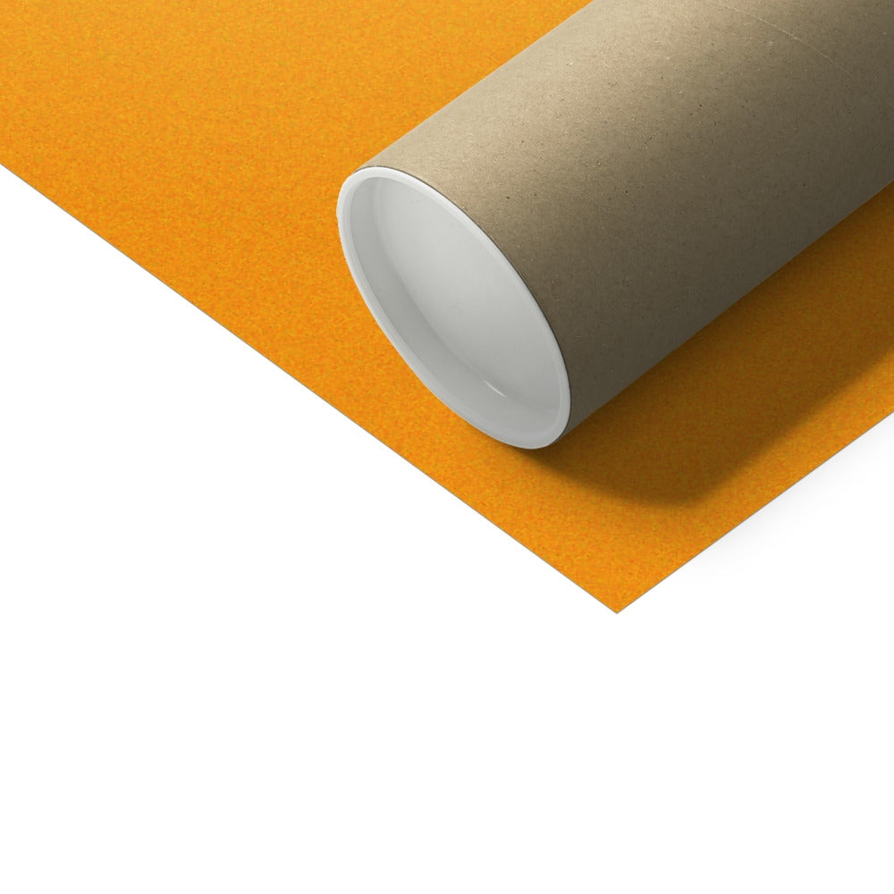 THE CACTUS JAZZ BAND | La Violoniste | Affiche