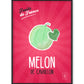 Melon Poster | Fruits of France