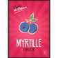 Affiche Myrtille | Fruits de France