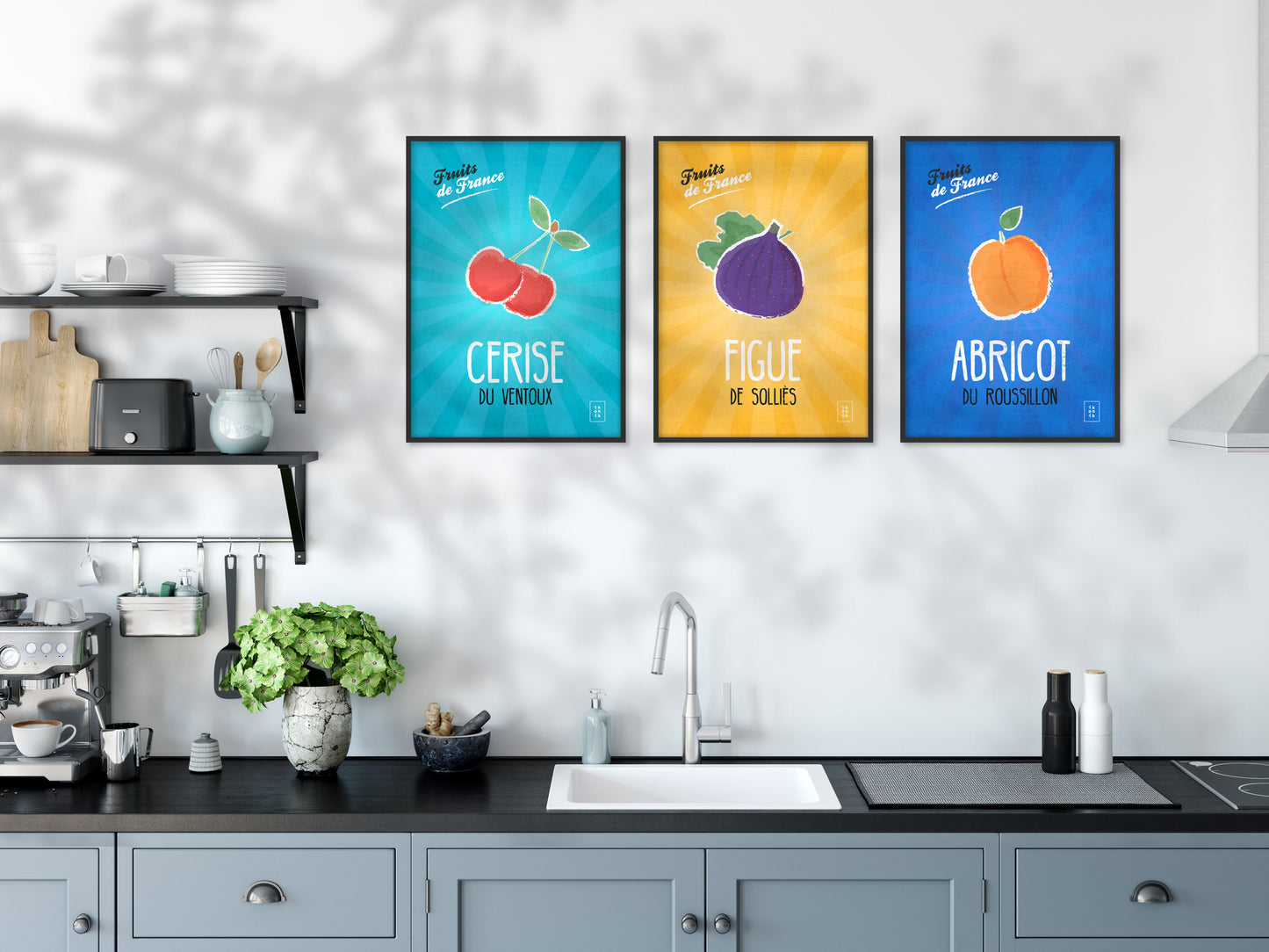 Apricot Poster | Fruits of France